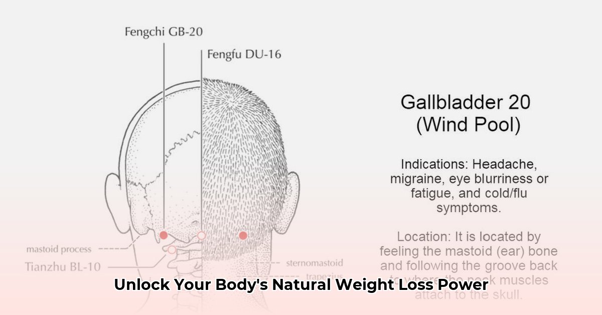 acupuncture-weight-loss-ireland